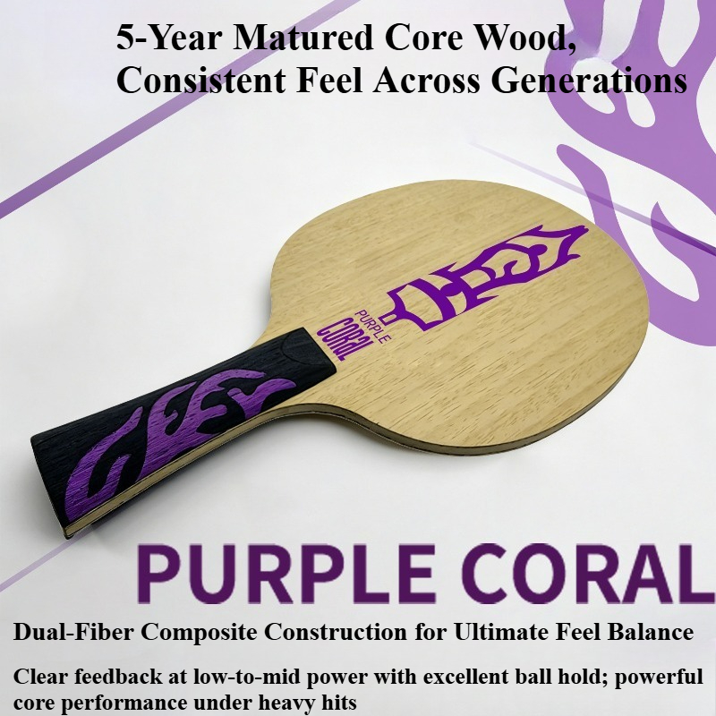 مضرب تنس الطاولة ميتيور بيربل  - مراجعة Table Tennis Racket وسعره