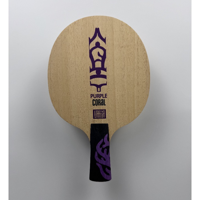 مضرب تنس الطاولة ميتيور بيربل  - مراجعة Table Tennis Racket وسعره